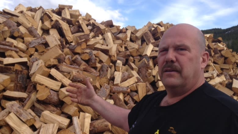 Yukon's supply of spruce beetle-killed firewood threatens to rot