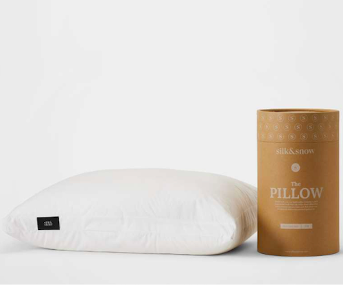 Silk and Snow Pillow