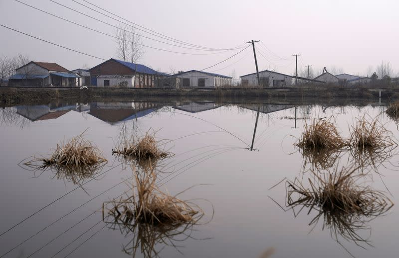 Pigpens are pictured beside a pond at a village in Henan province