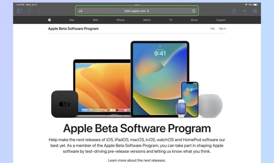 Apple iPadOS 17