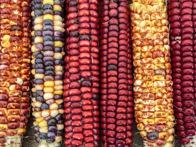 <a href="https://www.shutterstock.com/image-photo/indian-colored-corn-166316819?src=kUjHDt9C1hncuG7TDBss7g-1-5" data-component="link" data-source="inlineLink" data-type="externalLink" data-ordinal="1" rel="noopener noreferrer">Shutterstock</a>