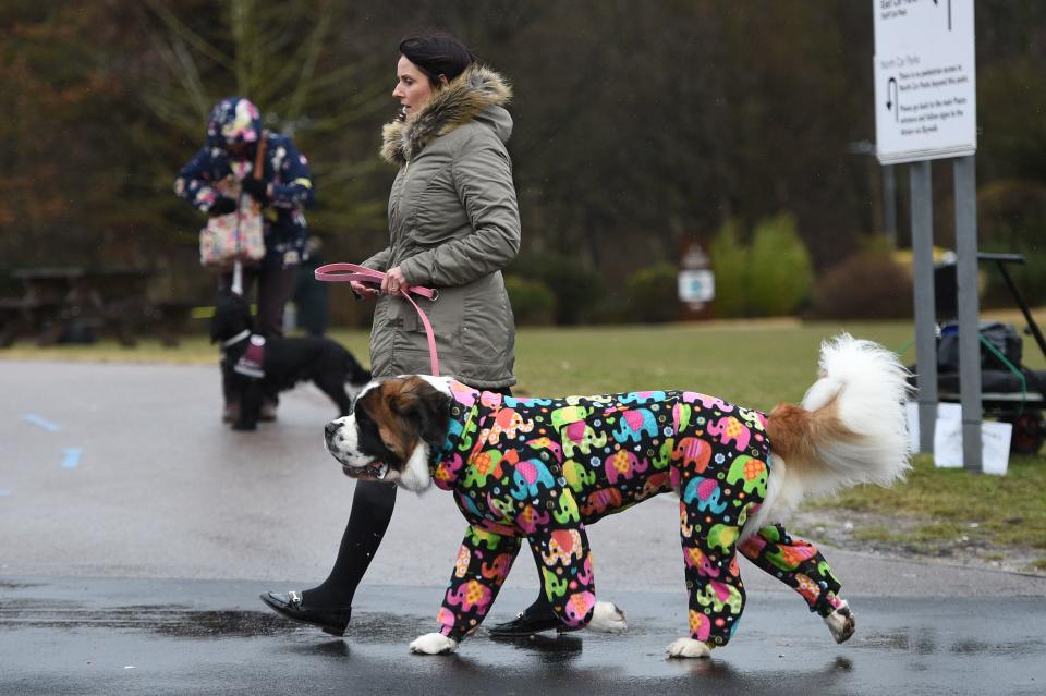 (OLI SCARFF/AFP via Getty Images)