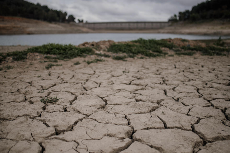 An expanse of hardened, cracked mud, leading up to a bank of grass by a reservoir.