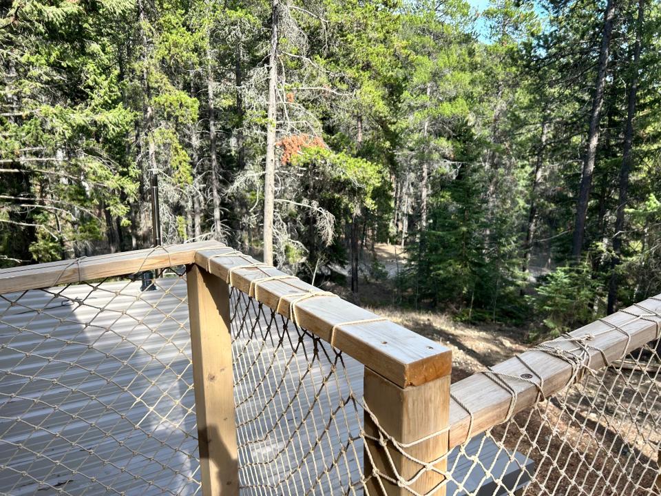 view from balcony of trees