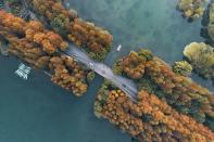 <p>Autumn trees surround the Hanghzou Yanggong Levve in China. </p>