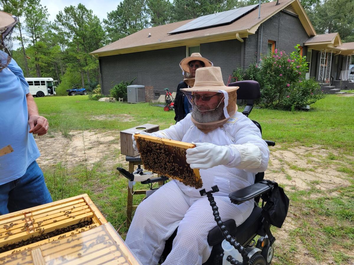 Veterans protect national food security by becoming beekeepers