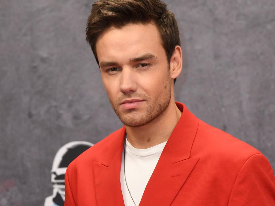 liam payne february 2020