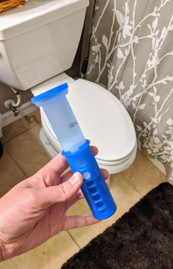 Reviewer holding the Scrubbing Bubbles toilet gel stamp