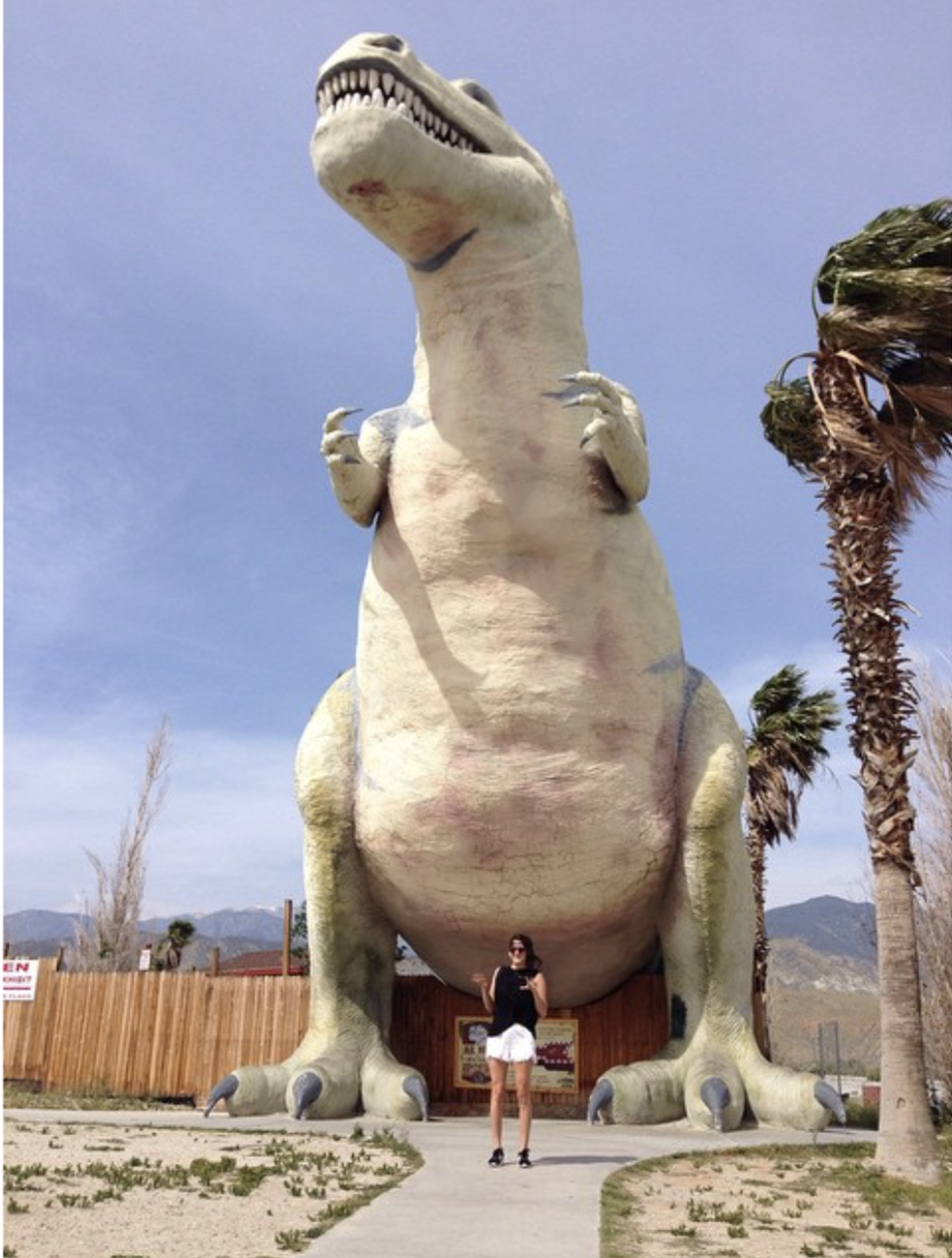 Cabazon Dinosaurs in Cabazon, California.