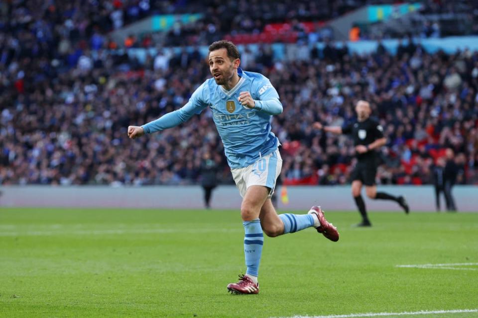 Silva struck the only goal on 84 minutes (The FA/Getty)