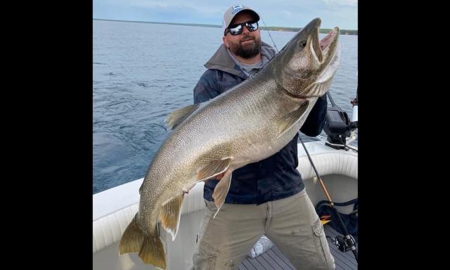 Premium Photo  Fisherman picking up big rainbow trout from his fishing net