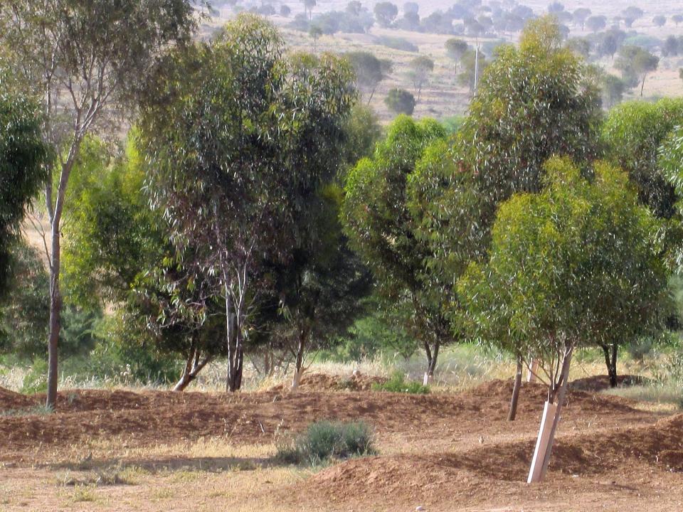 It may be winter in the U.S., but in Israel, spring is just beginning.