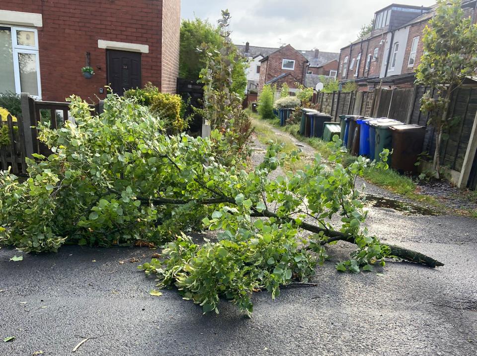 A a branch that was blown down in Whitefield, Greater Manchester (@simonjohnno/PA Wire)