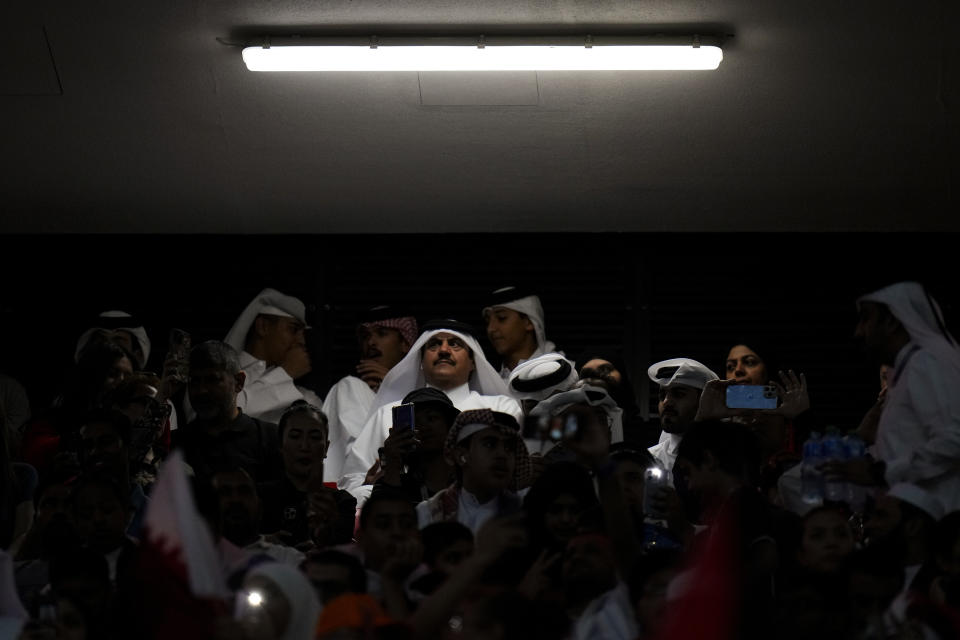 Fans watch a World Cup group A soccer match between the Netherlands and Qatar at the Al Bayt Stadium in Al Khor, Qatar, Tuesday, Nov. 29, 2022. (AP Photo/Petr David Josek)