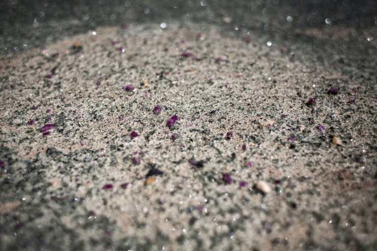 Rubies on display in a mineral rich ground layer at the Gemfields ruby mine in Montepuez, Mozambique