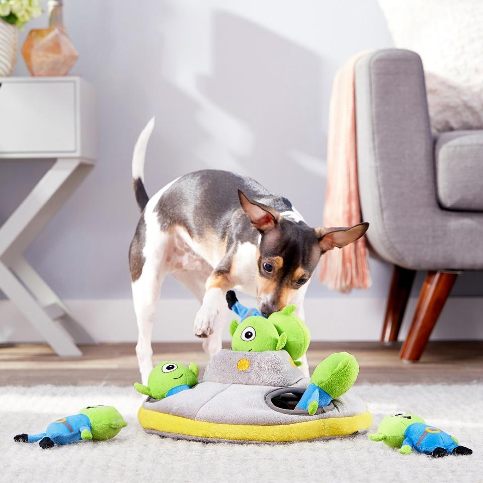 Frisco Hide and Seek Plush Flying Saucer Puzzle Dog Toy (Photo: Chewy)