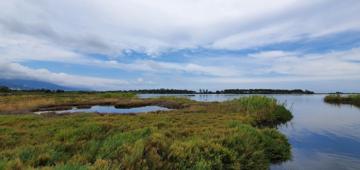 Une zone humide côtière corse, la lagune de Biguglia, alimentée par les rivières du bassin versant et par les eaux souterraines, qui peuvent stocker longtemps les polluants. F. Huneau, Fourni par l'auteur