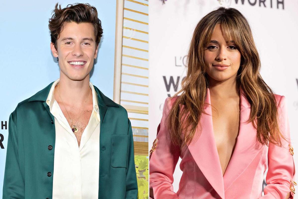 Camila Cabello and Shawn Mendes Smile While Shopping in New York City