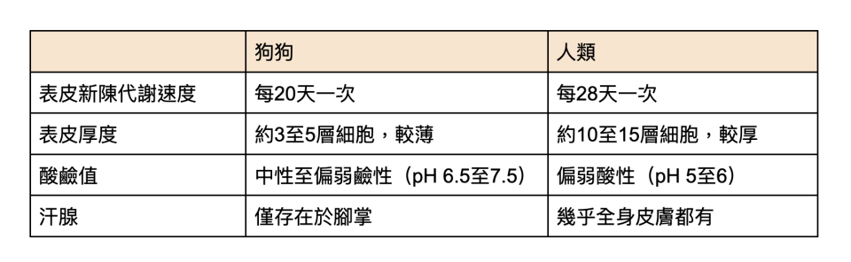 狗狗皮膚與人類的差異。表格整理：Yahoo奇摩毛宇宙