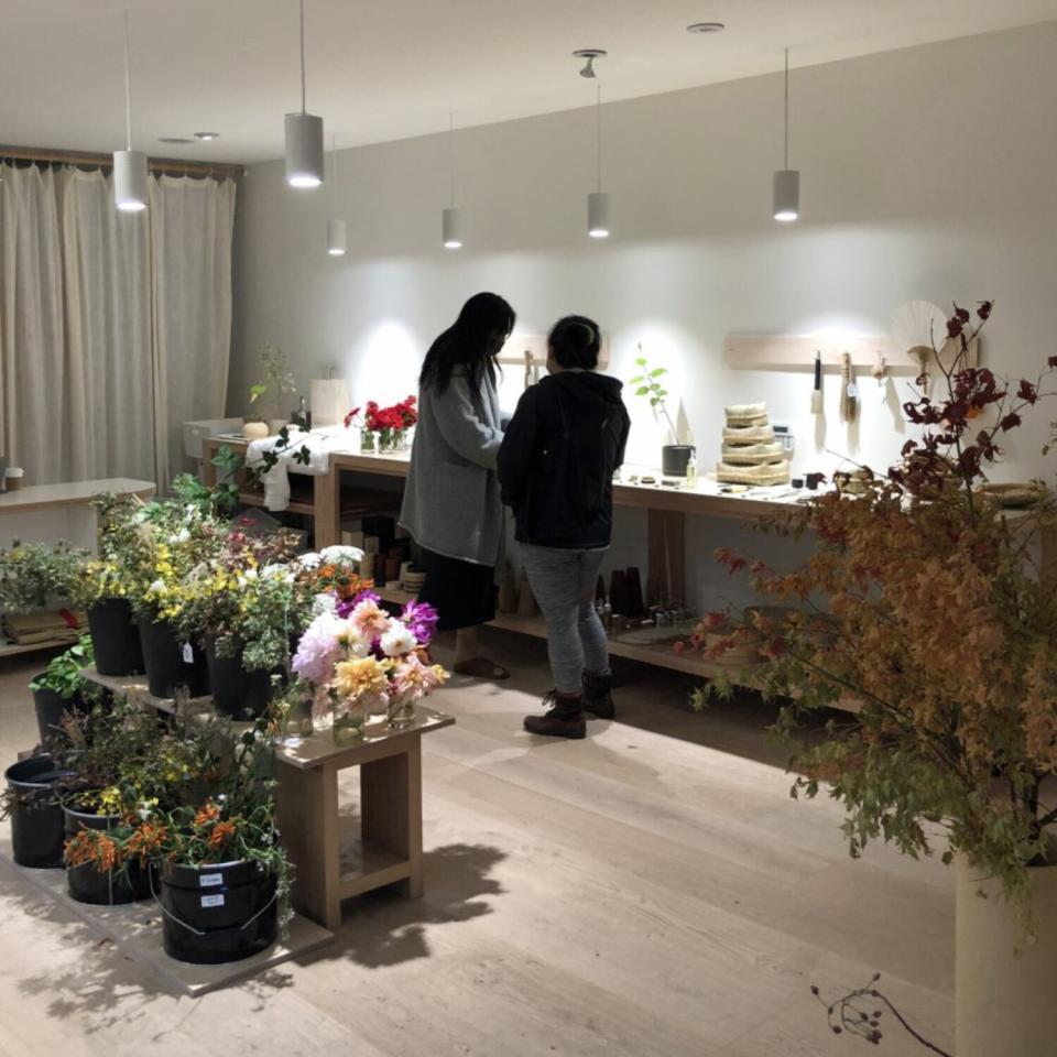 Two people stand at a workbench in a room with plants in containers