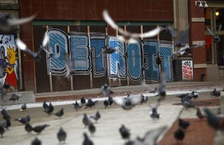 Pigeons are seen near graffiti in Detroit, Michigan, December 3, 2013. REUTERS/Joshua Lott