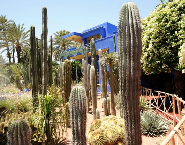 The Majorelle Gardens in Marrakesh, purchased by Saint Laurent and Pierre Bergé in 1980.<p>Photo: Abdelhak Senna/AFP via Getty Images</p>