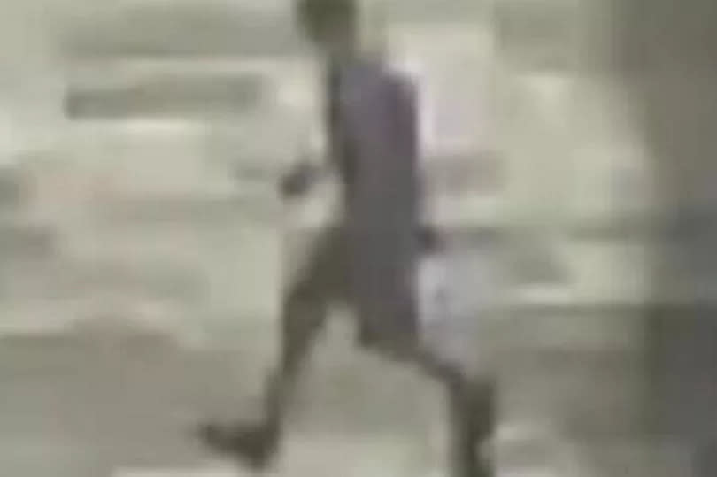 The CCTV image of the 'potential sighting'