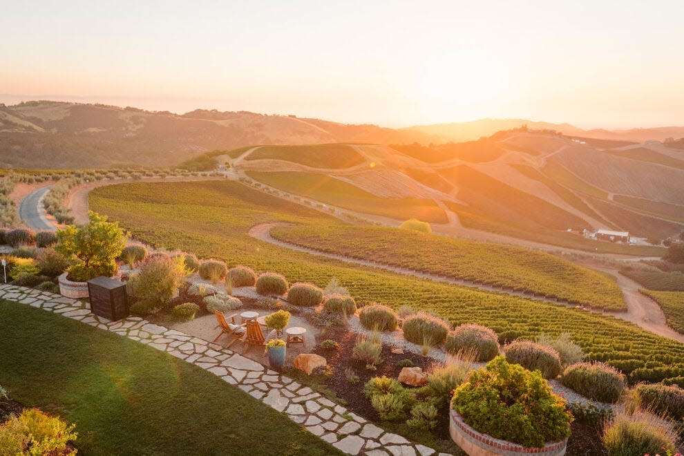 Don't miss the amazing wine and beautiful views at DAOU Vineyards