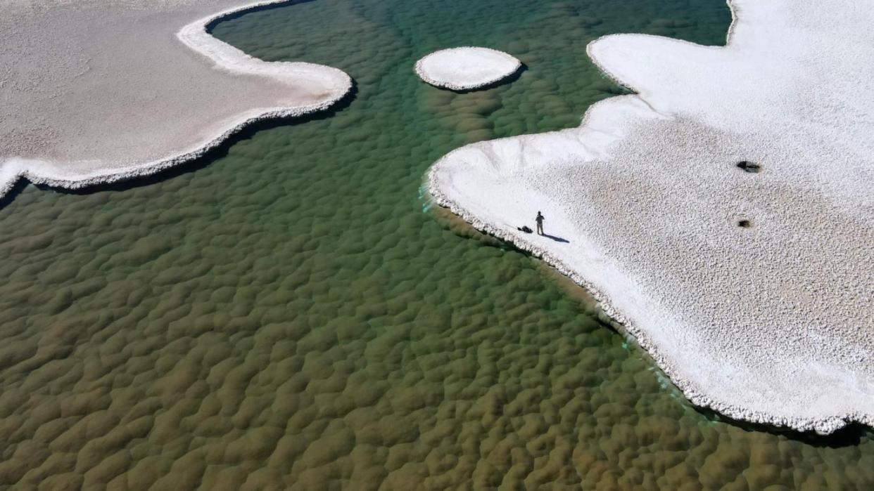 a group of people walking on a beach