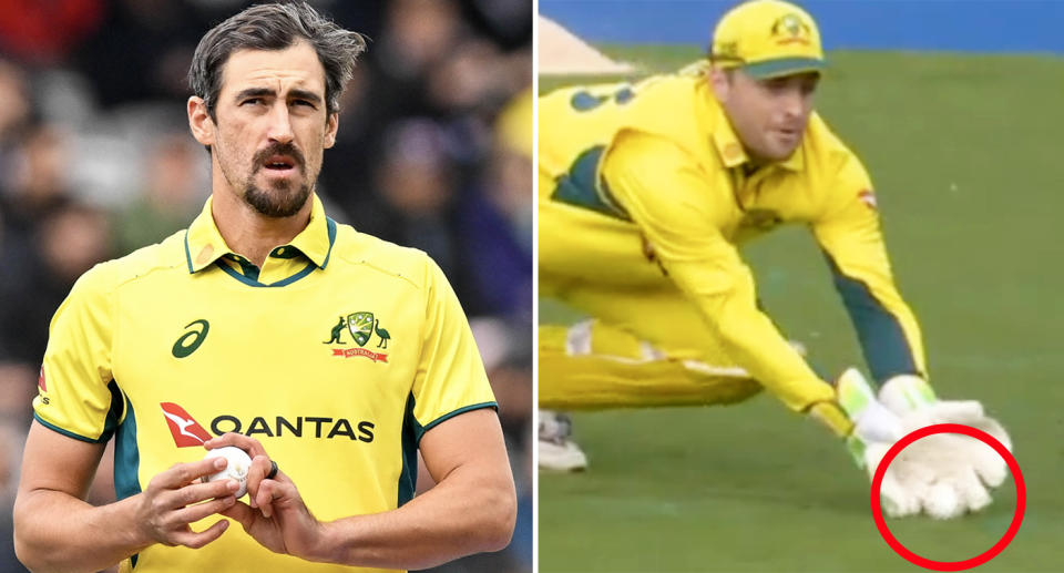 Mitchell Starc and Josh Inglis in the fourth ODI between Australia and England.