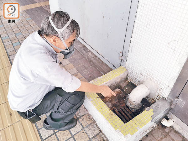 大窩口邨：居民羅伯指老鼠不時匿藏在大廈泵房外的去水位。