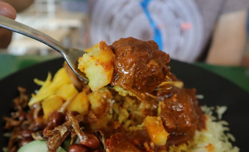 curry on - beef rendang closeup