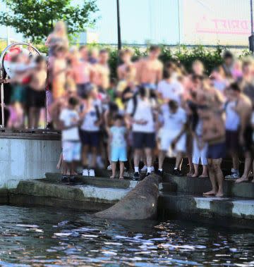 Children were among the crowds gathered to see Freya at Kadettangen, near Sandvika, Norway on Wednesday.