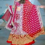 pakistani-bridal-lehenga-tremendous-collection