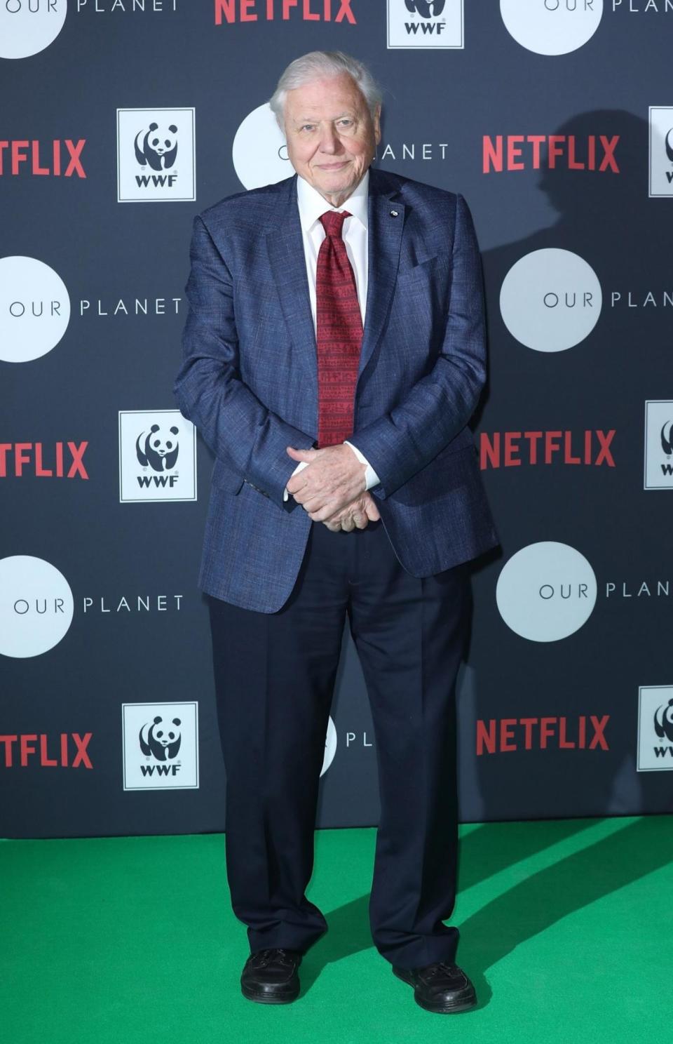 New track: Sir David Attenborough is releasing an album (Tim P. Whitby/Getty Images)