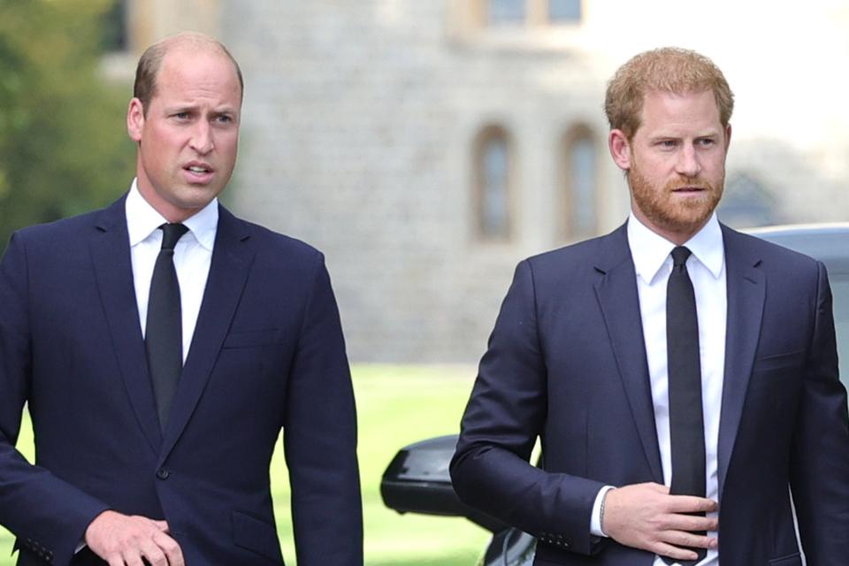 Prince William, Prince of Wales, with his brother Prince Harry, the Duke of Essex (Getty Images)