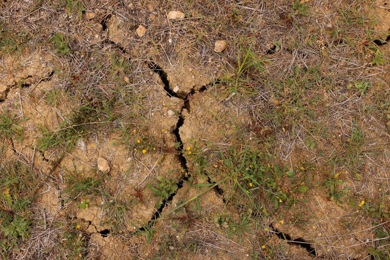 Spain experiences unusually scorching summer temperatures in spring