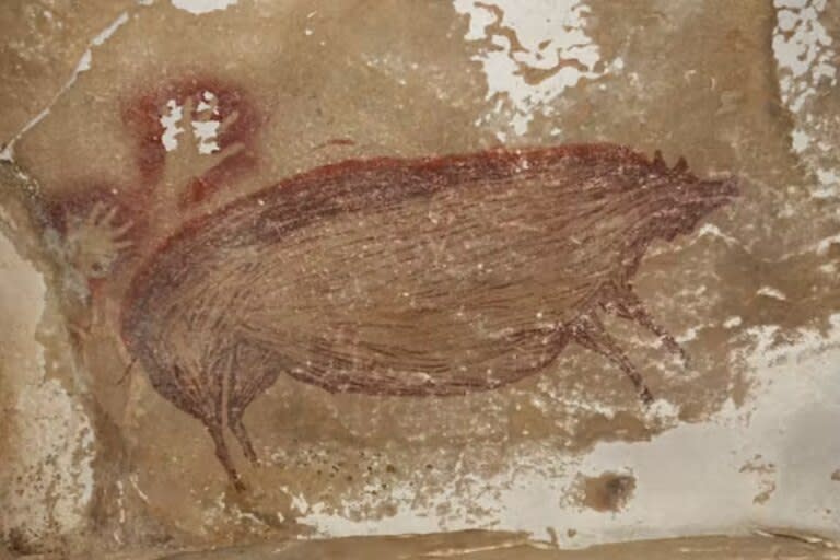 Imagen rupestre de un cerdo verrugoso (Sus celebensis) que fue datada en 45.500 años de antigüedad en el panel de arte rupestre de la cueva de Leang Tedongnge, Sulawesi, Indonesia