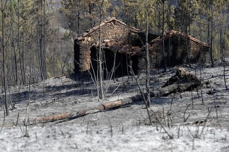 A burned out house is seen after a forest fire in Alto da Louriceira, Portugal, June 21, 2017. REUTERS/Miguel Vidal