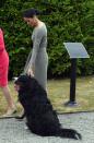 <p>Meghan Markle couldn't contain herself when it came to the Prime Minister of Ireland's Bernese Mountain Dog. While the Duchess was in Ireland for an official state visit, we think it's clear from this photo who she was <em>really </em>there to see. </p>