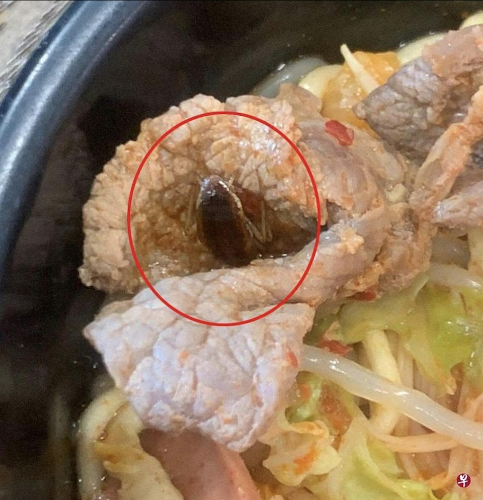 Cockroach in Korean steamboat — Cockroach between beef slices