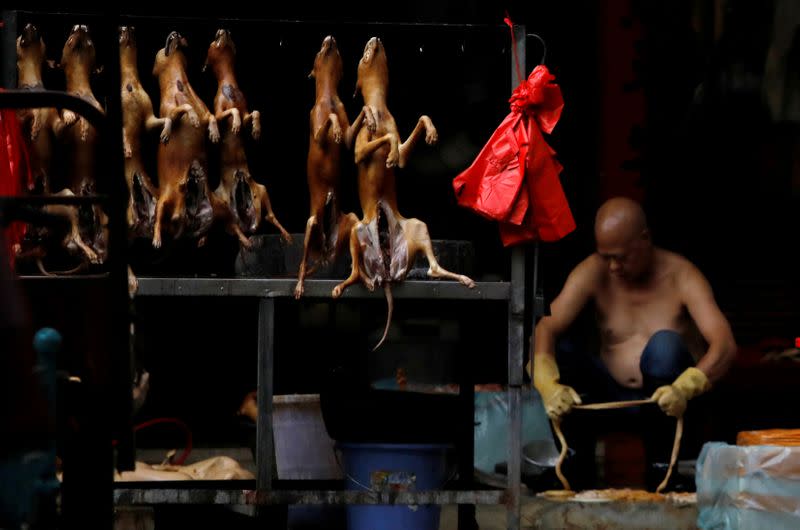 FILE PHOTO: Butchered dogs displayed for sale during the local dog meat festival in Yulin