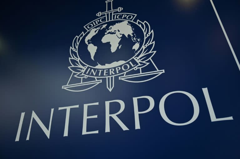 Le logo d'Interpol en novembre 2021 à Istanbul, en Turquie (AFP/Ozan KOSE)