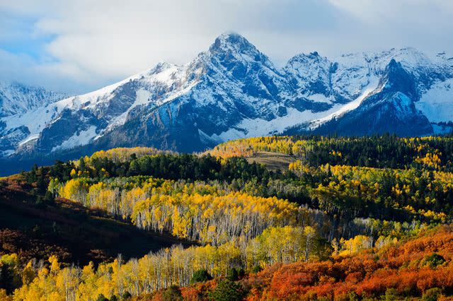 <p> </p><p>Pete Saloutos/Getty.</p> Aspen Mountain in Autumn