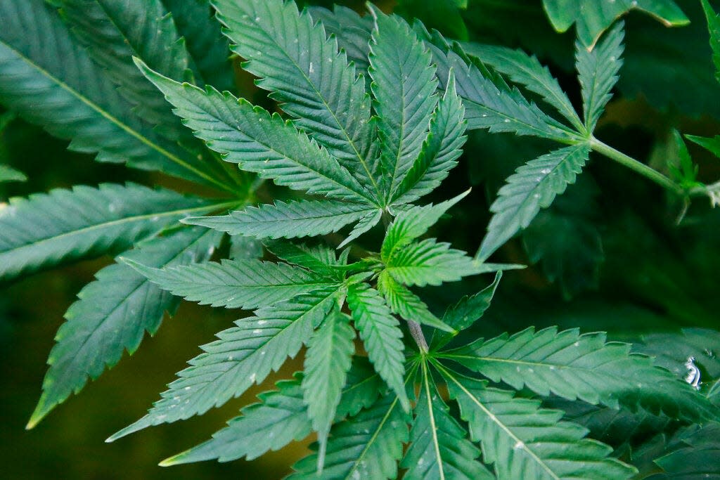 President Joe Biden announced he's pardoning people convicted of simple marijuana possession under federal laws. He is urging state governors to follow suit.