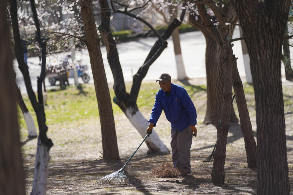 A worker cleans the lawn at a park in Beijing, China, March 22, 2024. China’s first generation of migrant workers played an integral role in the country's transformation from an impoverished nation to an economic powerhouse. Now, they're finding it hard to find work, both because they're older and the economy is slowing. (AP Photo/Tatan Syuflana)