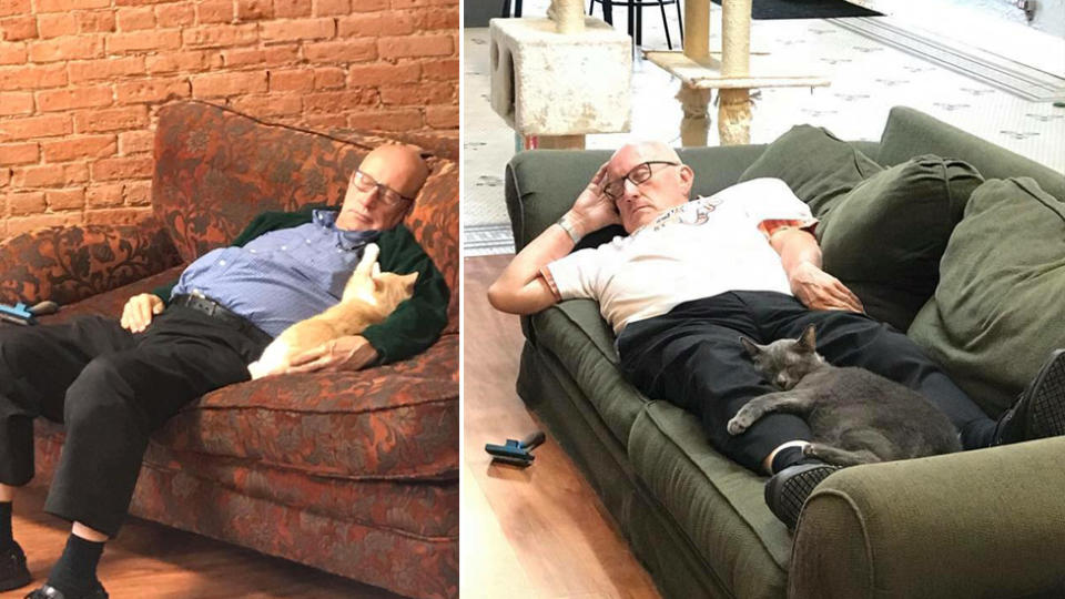 Terry Lauerman, a 75-year-old man, that cuddles cats three hours each day.