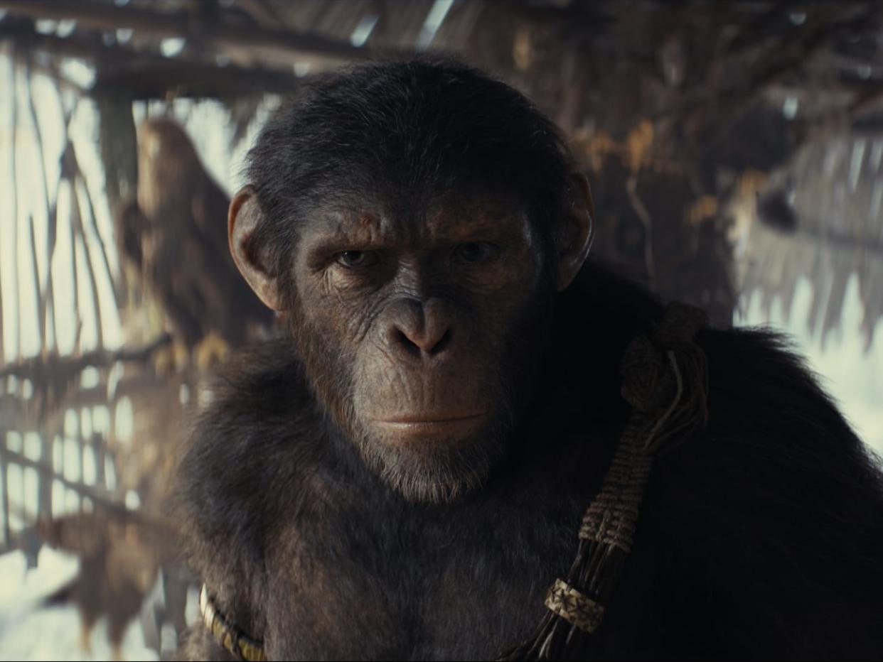 Noa in Kingdom of the Planet of the Apes