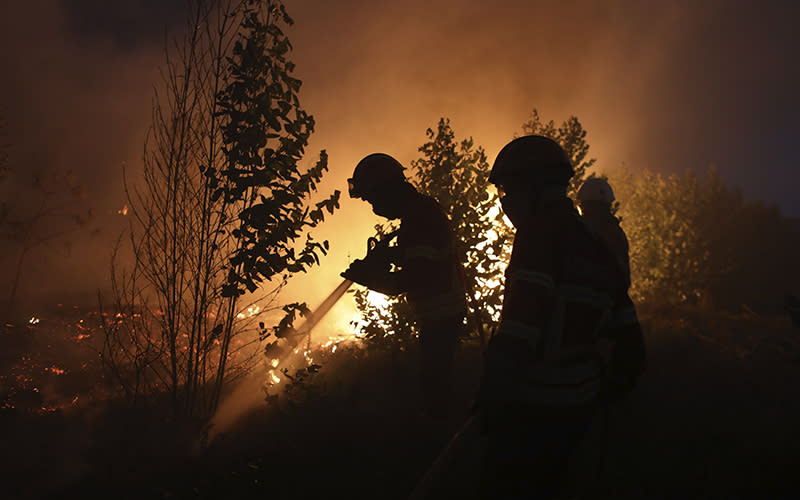 Firefighters work to put out a forest fire