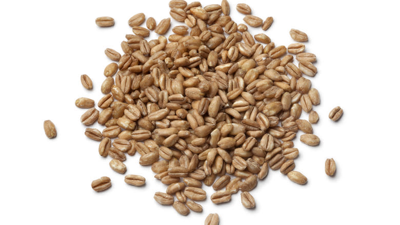 raw farro grains